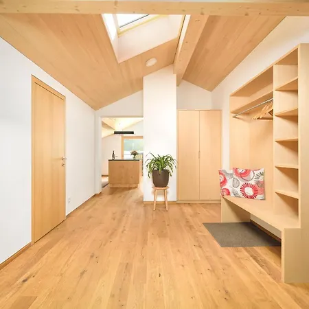Felder Apartments Schoppernau Extérieur photo